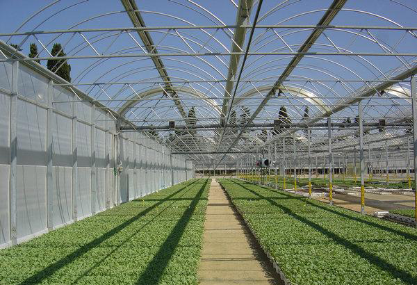 �����r(n��ng)�߲˻��ش��ｨ�O(sh��)